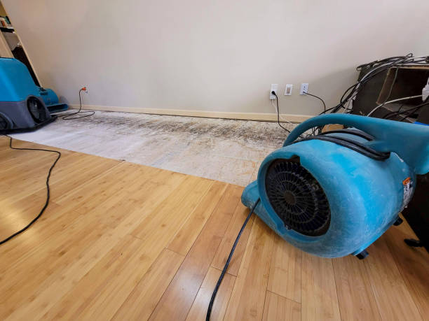 Professional Sewage Cleanup technician working in Walled Lake, MI